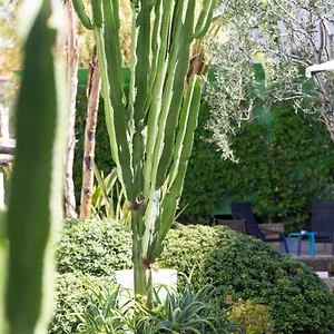 Hotel Mercure Centre Notre Dame ****